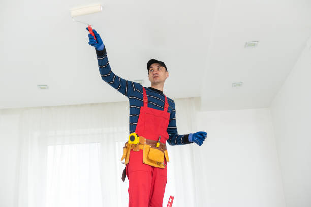 Best Fire-Damaged Drywall Repair  in Chester, CA